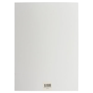 Passtime Cardboard A4 250 GSM White