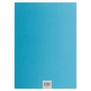 Passtime Cardboard A4 250 GSM Blue