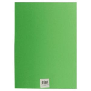 Passtime Cardboard A4 250 GSM Green