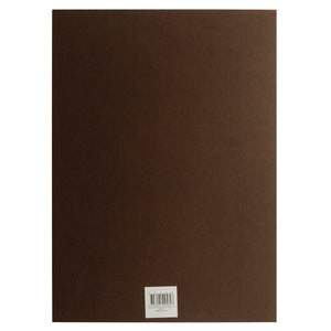 Passtime Cardboard A4 250 GSM Choc
