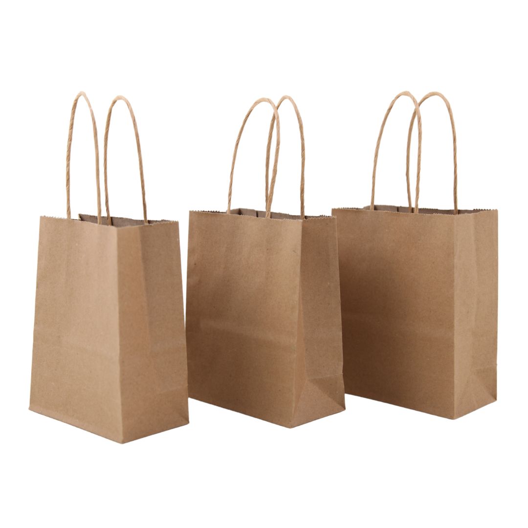 Kraft Paper Bag 10x13cm Pack of 3