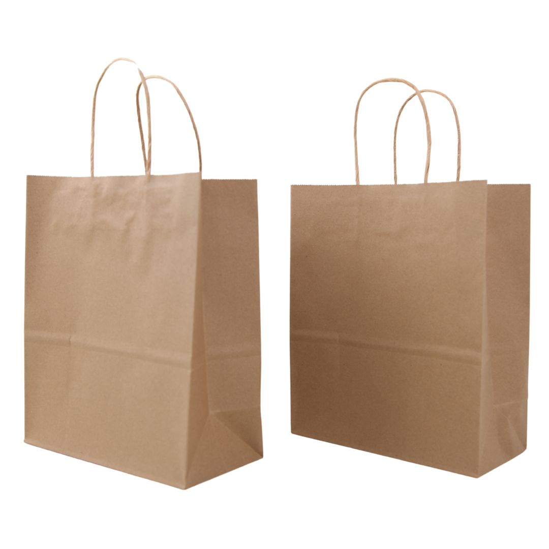 Kraft Paper Bag HD Pkt 2 22x26.5x11.5cm 120G