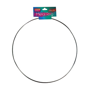 Metal Project Ring 25cmx3mm