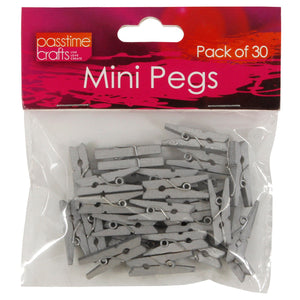 Mini Pegs 25mm Pkt 30 Silver-D