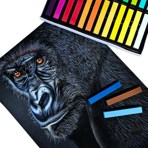 Platinum Art Soft Pigment Pastels S/24