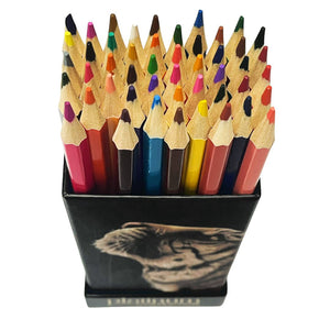 Platinum Art Colour Pencils W/Stand S/48