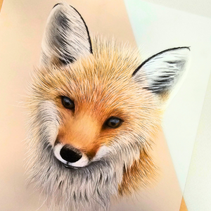 Translucent Paper Artwork IMG