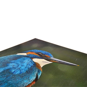 Platinum Gloss Varnish Sealant 177ml