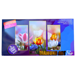 Diamond Art 3pce 20x30/30/40cm 4-Ast