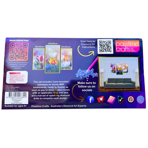 Diamond Art 3pce 20x30/30/40cm 4-Ast