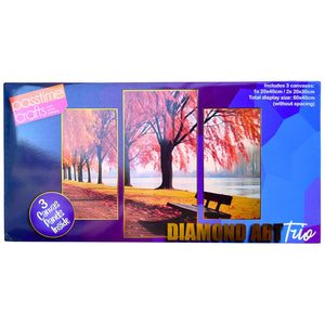 Diamond Art 3pce 20x30/30/40cm 4-Ast