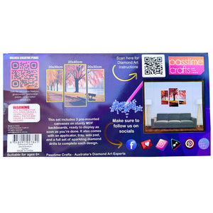 Diamond Art 3pce 20x30/30/40cm 4-Ast