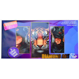 Diamond Art 3pce 20x30/30/40cm 4-Ast