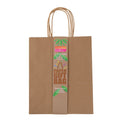 Kraft Paper Bag HD Pkt 2 22x26.5x11.5cm 120G