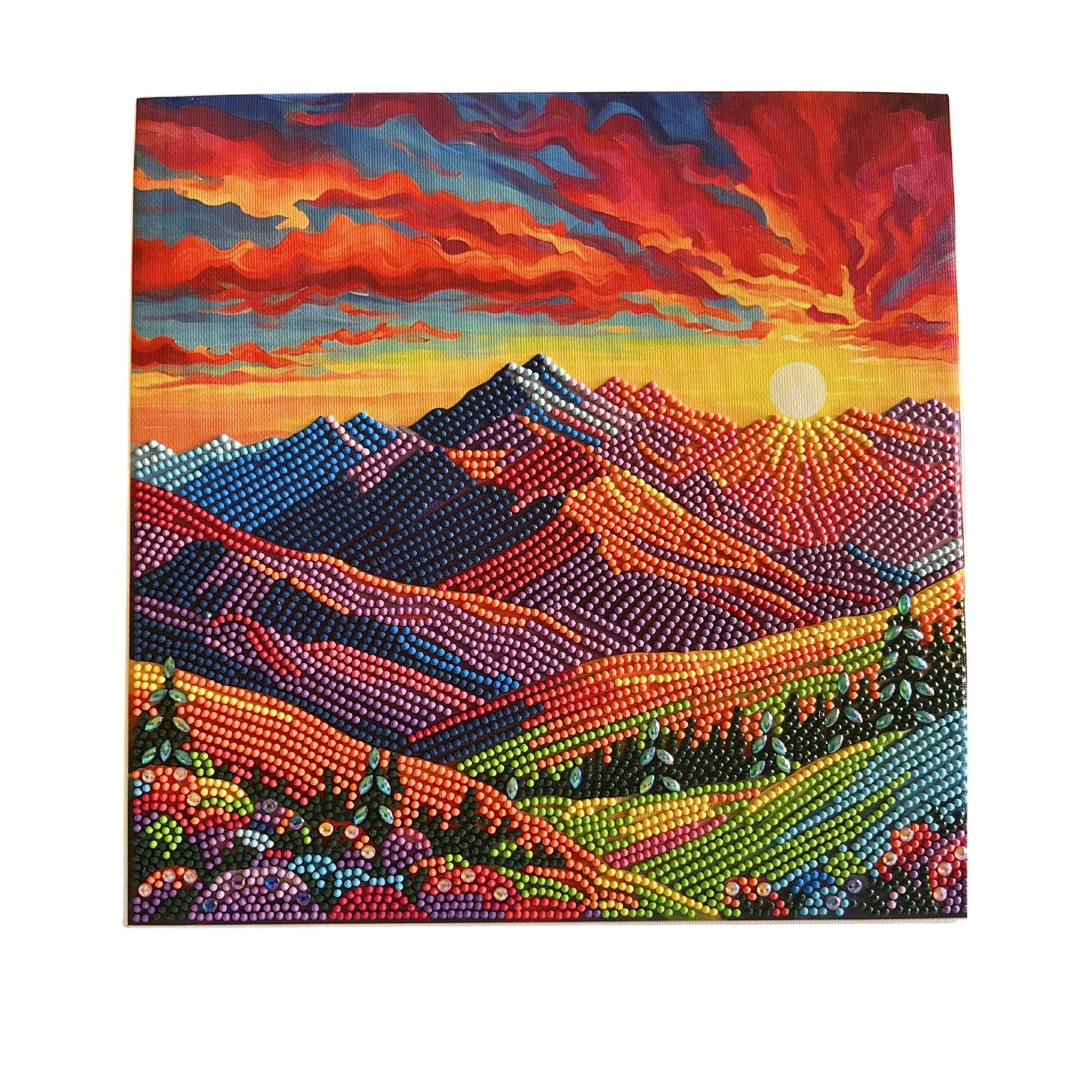 Diamond Art Canvas H/Drill 30x30 6-Ast