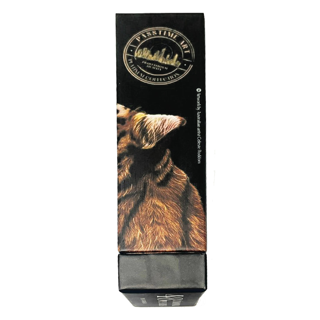 Platinum Art Colour Pencils W/Stand S/48