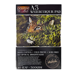 Platinum W/Colour Pad A3 300GSM 10lf