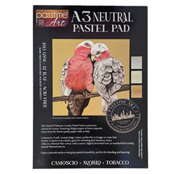 Platinum Pastel Pad A3 160GSM 12lf Tan