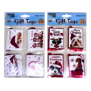 Xmas Gift Tag Card Fun-Anml 2-Ast Pk 12