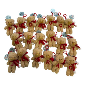 Xmas Alpha Novelty Bear 11.5x8cm