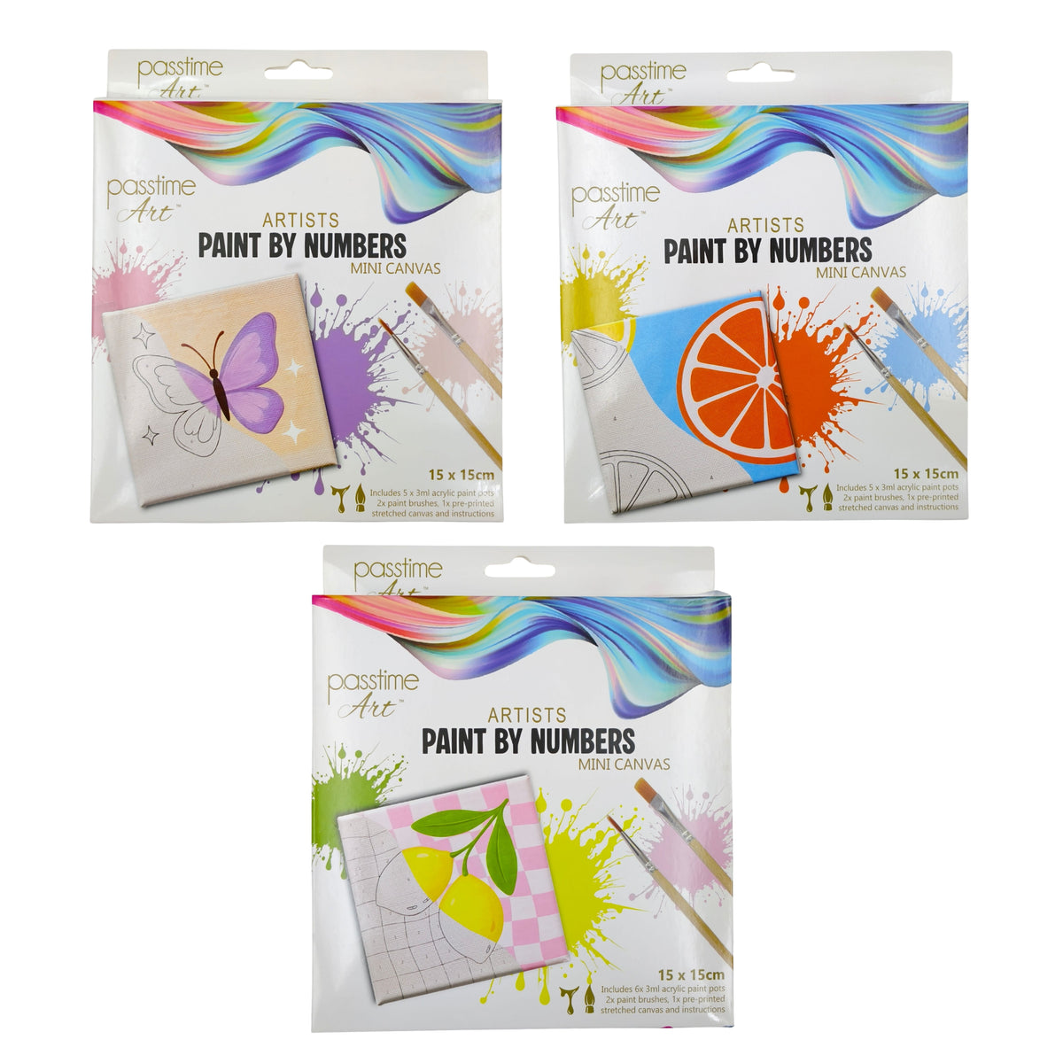 Paint by Number Canvas Kit
